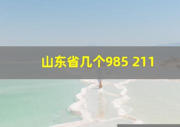 山东省几个985 211